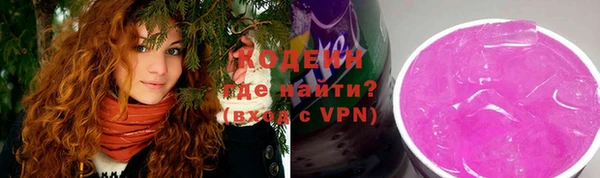 стафф Бородино
