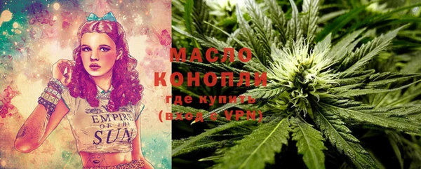 стафф Бородино