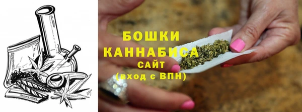 стафф Снежногорск