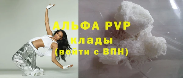 стафф Бородино