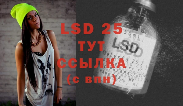 стафф Бородино