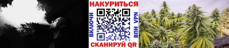 где купить наркотик Семёнов Каннабис гибрид